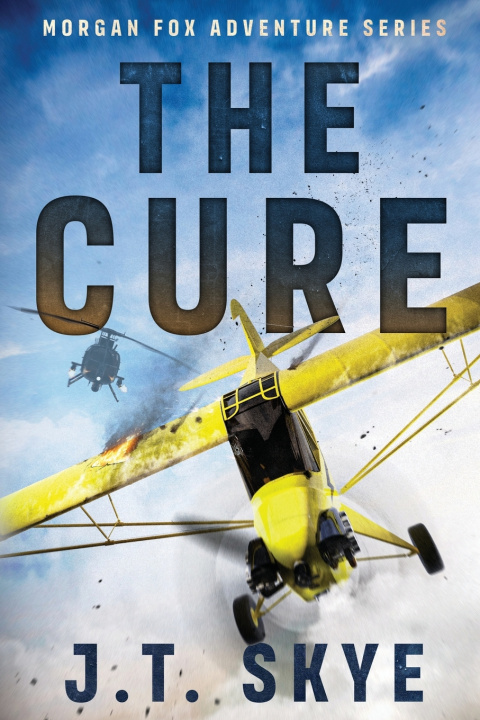Kniha The Cure J. T. Skye