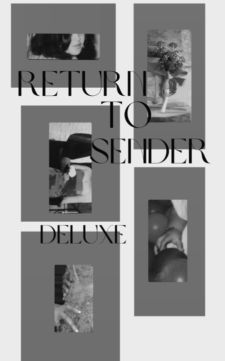 Kniha Return To Sender Tiara I Singleton