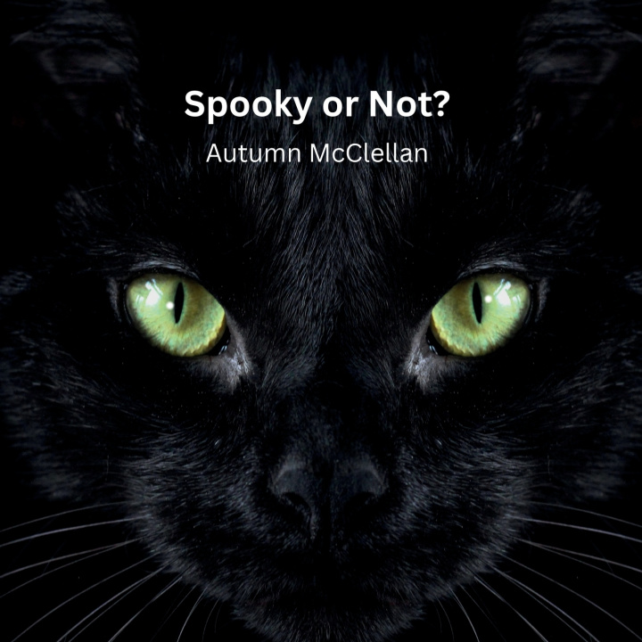 Kniha Spooky or Not? Autumn McClellan