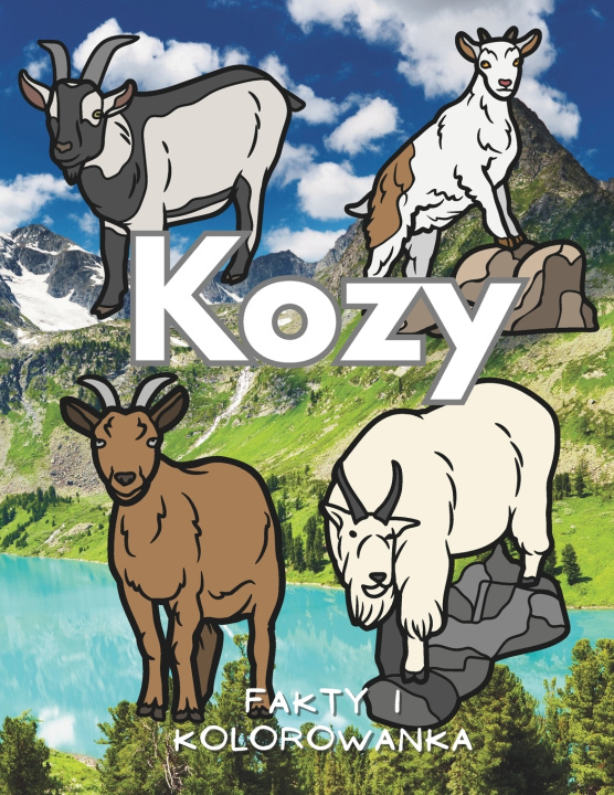 Könyv Kozy Steven Book