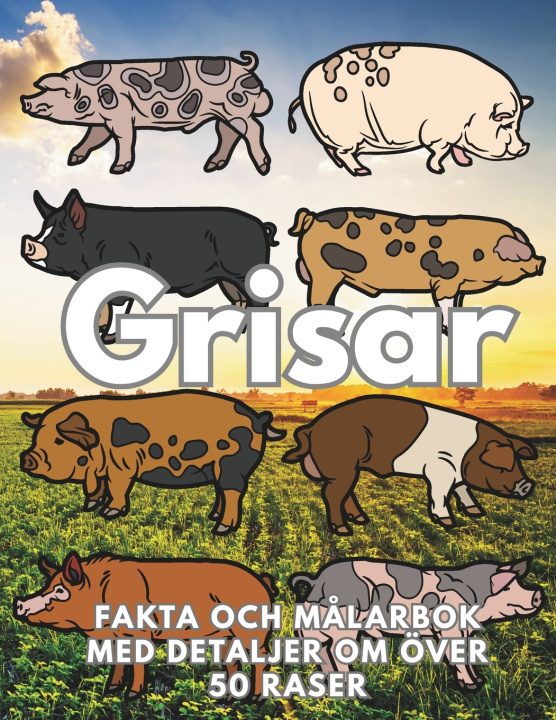 Kniha Grisar Steven Book
