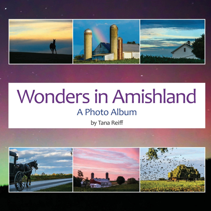 Knjiga Wonders in Amishland Tana Reiff