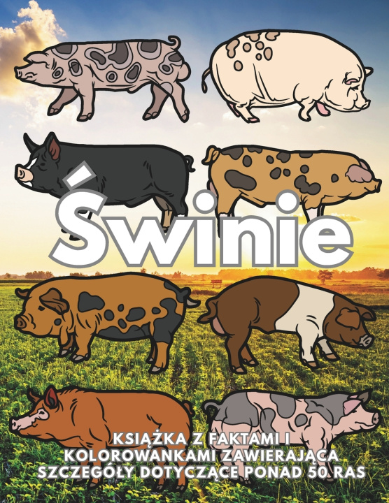Livro Świnie Steven Book