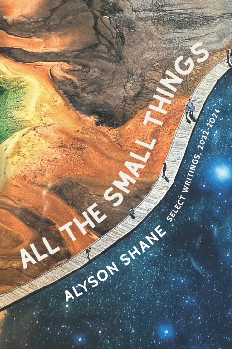 Kniha All The Small Things Alyson Shane