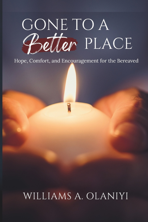 Книга Gone to a Better Place Williams A. Olaniyi