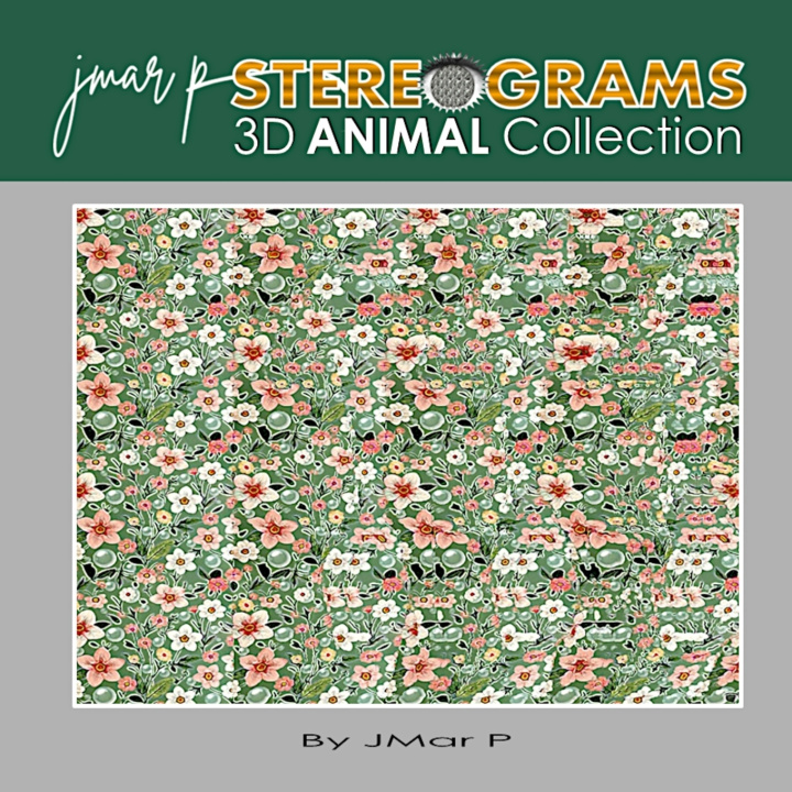 Knjiga JMar P STEREOGRAMS JMar P