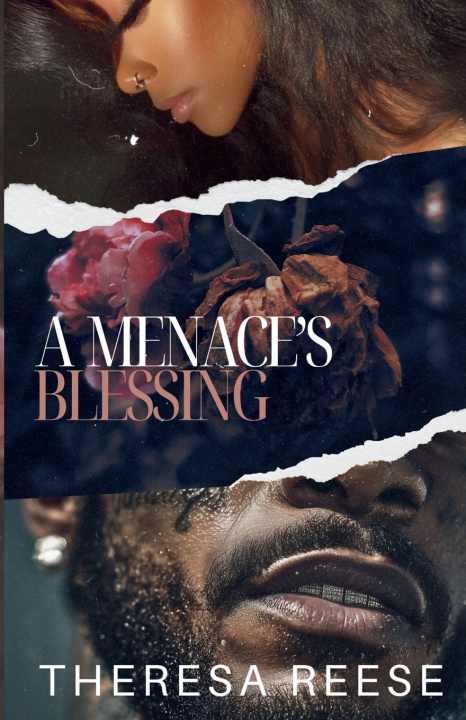 Kniha A Menace's Blessing Theresa Reese