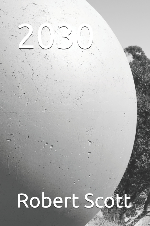 Kniha 2030 Robert Scott