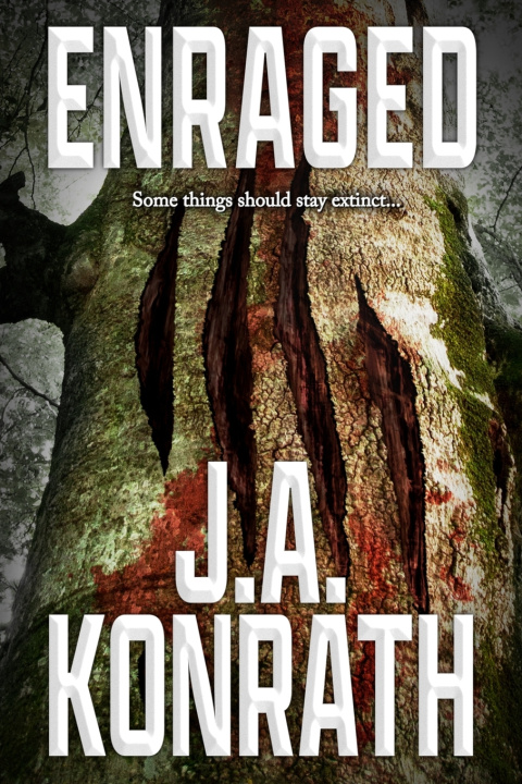 Könyv Enraged J.A. Konrath