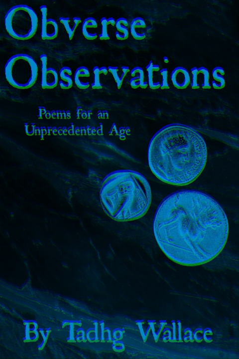 Könyv Obverse Observations Tadhg Wallace