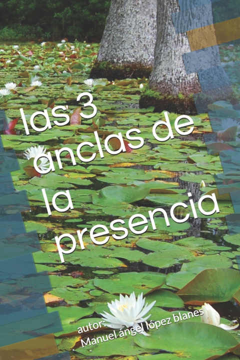 Książka las 3 anclas de la presencia Manuel lopez