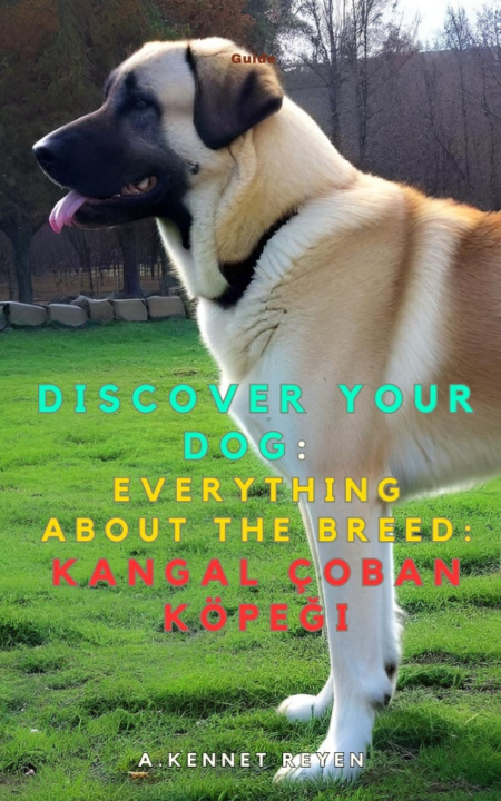 Kniha Discover your dog A. Kennet Reyen