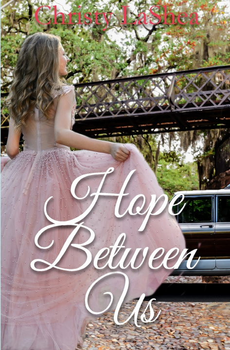 Knjiga Hope Between Us Christy LaShea