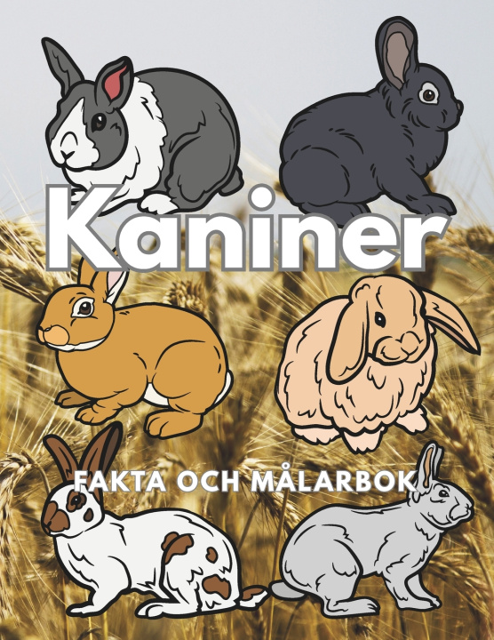 Buch Kaniner Steven Book