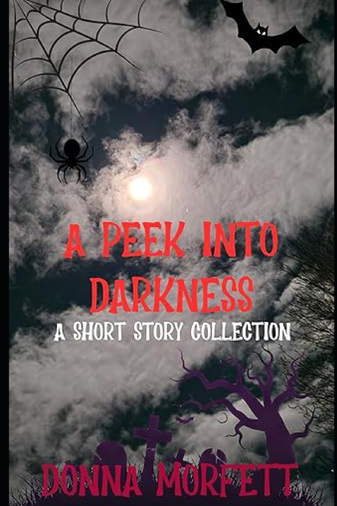 Kniha A Peek into Darkness Donna Morfett