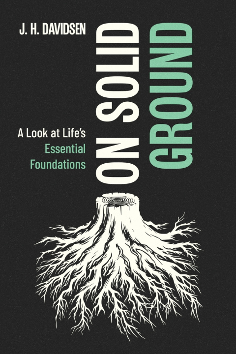 Knjiga On Solid Ground J. H. Davidsen