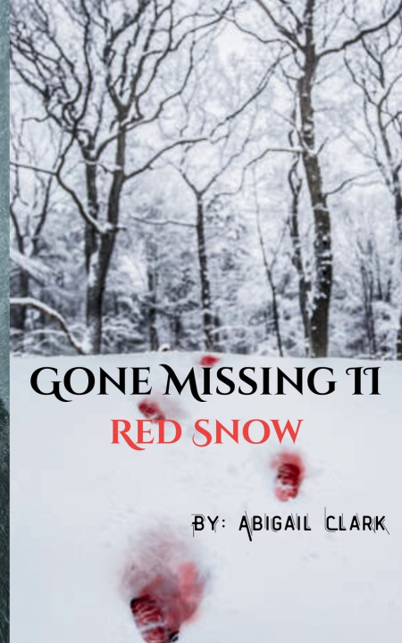 Kniha Gone Missing II Abigail Clark
