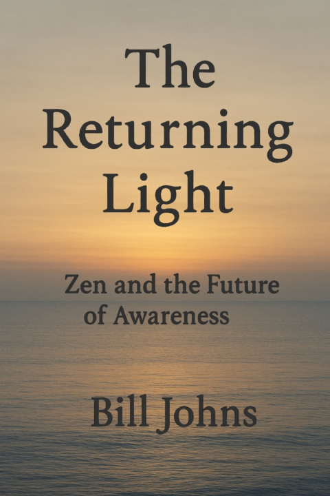 Kniha The Returning Light Bill Johns