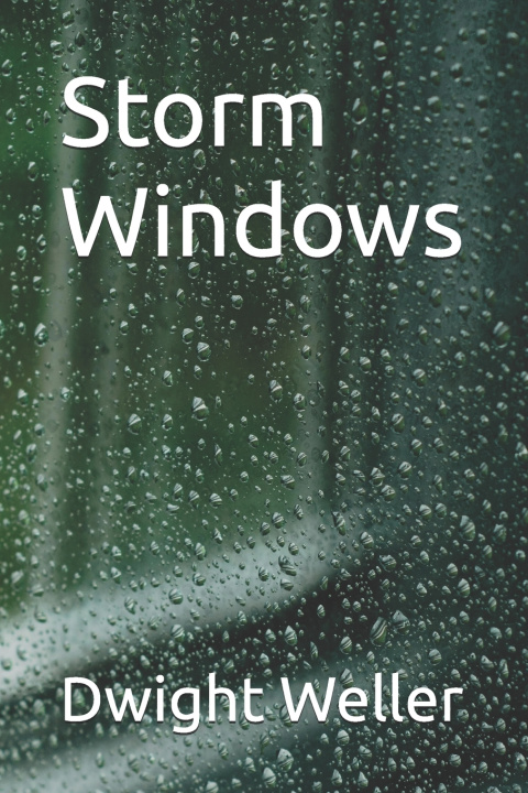 Kniha Storm Windows Dwight Weller