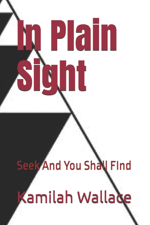 Buch In Plain Sight Kamilah Wallace