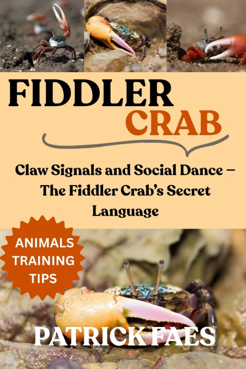 Kniha FIDDLER CRAB PATRICK FAES