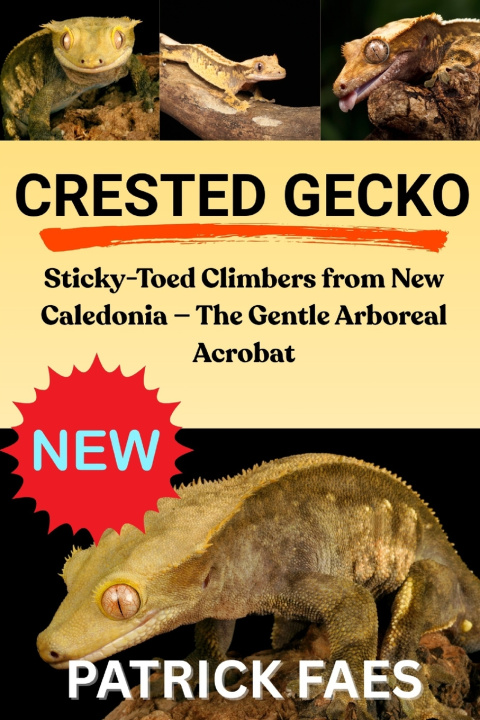 Kniha CRESTED GECKO PATRICK FAES