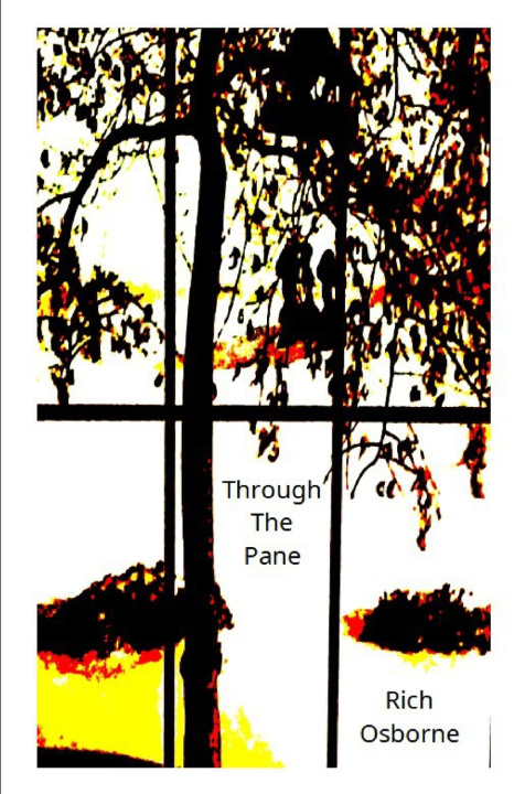 Knjiga Through The Pane Rich Osborne SC