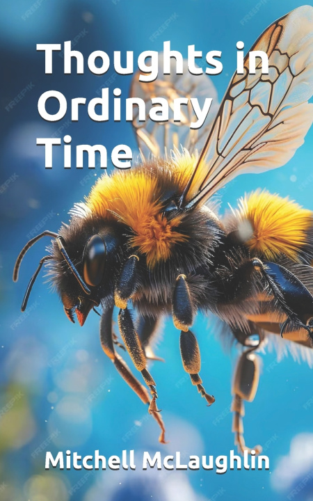 Kniha Thoughts in Ordinary Time Mitchell McLaughlin