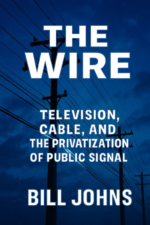 Kniha The Wire Bill Johns