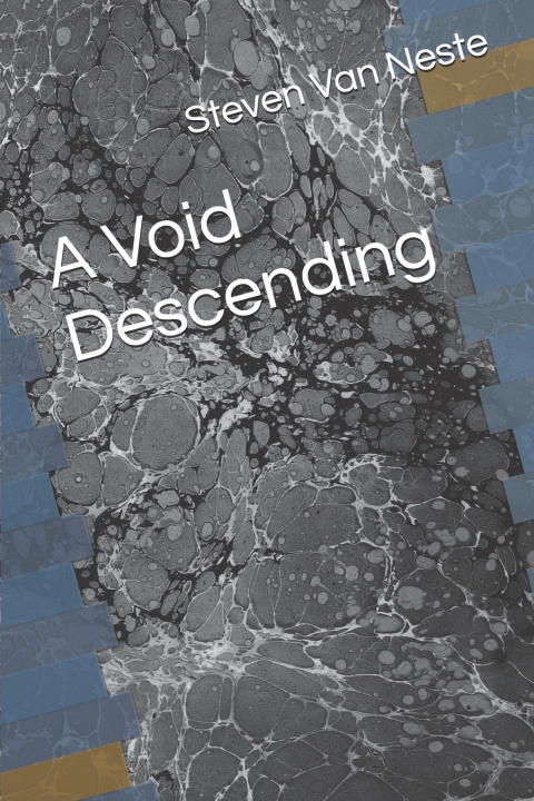Knjiga A Void Descending Steven Van Neste