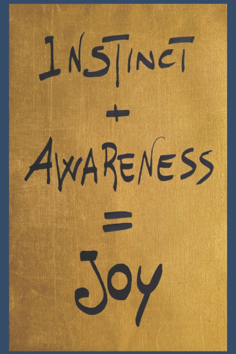 Boek Instinct + Awareness =Joy Emanuela VEZZOLI