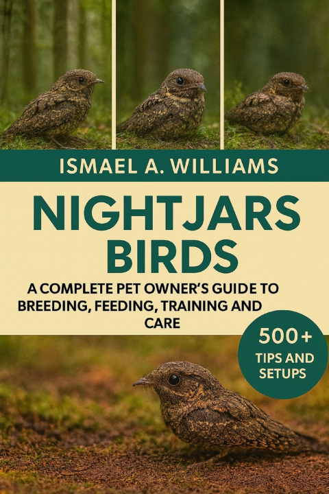 Kniha Nightjars Bird ISMAEL A. WILLIANS
