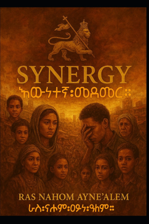 Knjiga SYNERGY NAHOM AYNE'ALEM