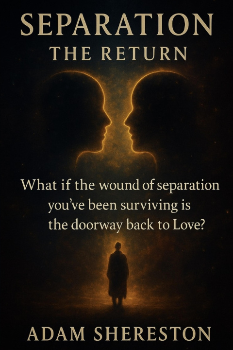 Knjiga Separation Adam Shereston