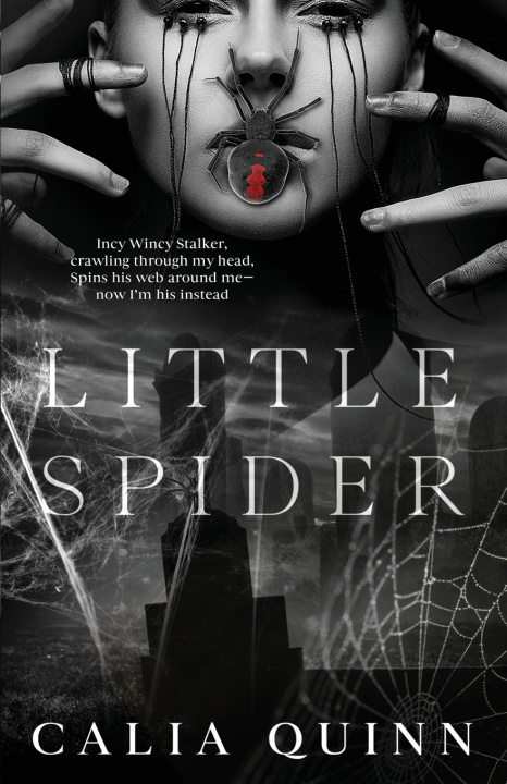 Livro Little Spider Calia Quinn