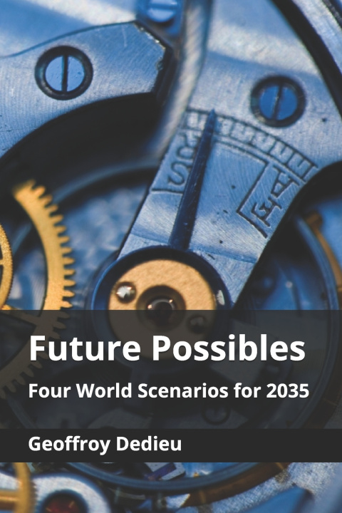 Knjiga Future Possibles Geoffroy Dedieu