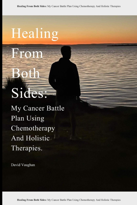 Knjiga Healing From Both Sides David Vaughan