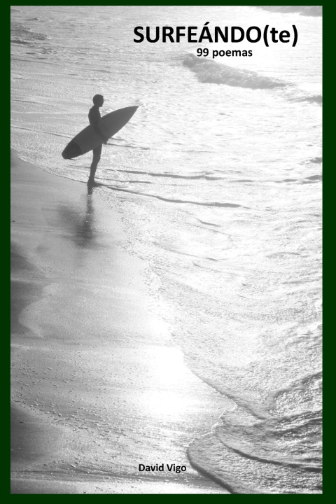 Kniha SURFEÁNDO(te) David Vigo