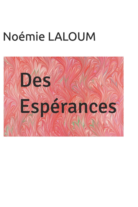 Knjiga Des espérances Noémie LALOUM