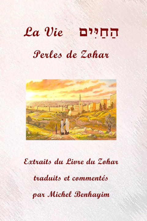 Kniha La Vie Michel Benhayim