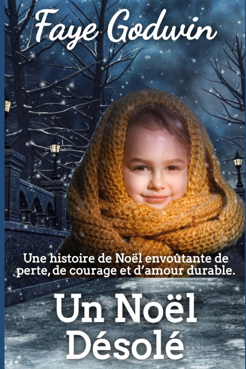 Knjiga Un Noël Désolé Faye Godwin