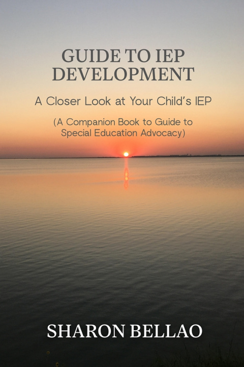 Knjiga Guide to IEP Development Sharon Bellao