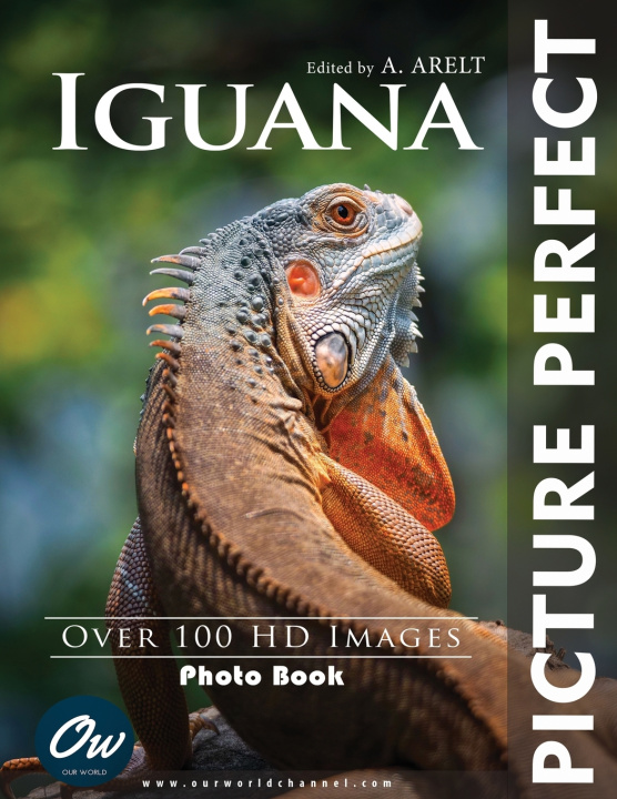 Kniha Iguana A Arelt