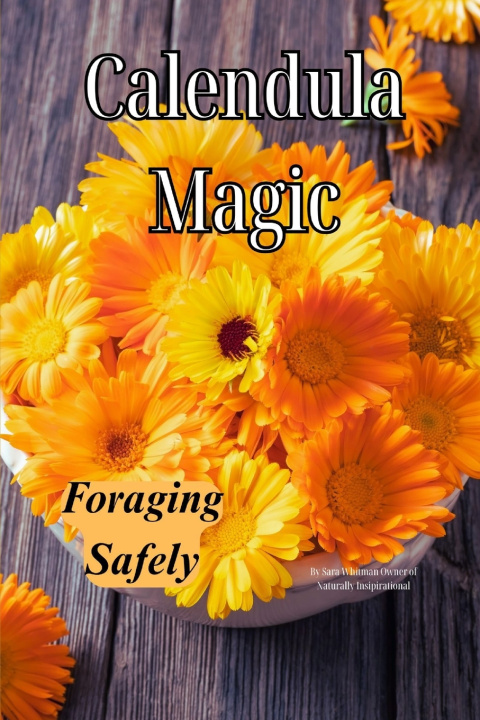 Knjiga Calendula Magic Sara Whitman