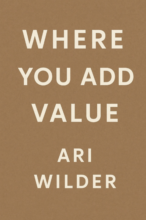 Kniha WHERE YOU ADD VALUE Ari Wilder