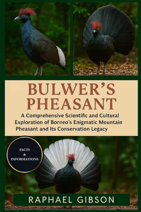Kniha BULWER'S PHEASANT RAPHAEL GIBSON