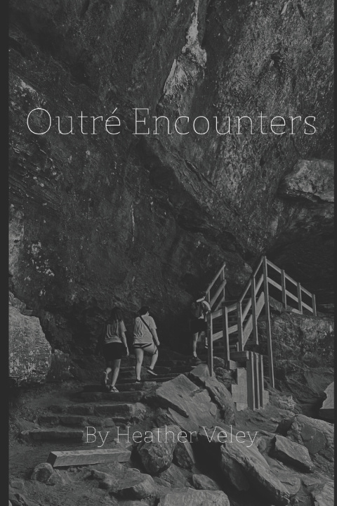 Knjiga Outré Encounters Heather Veley