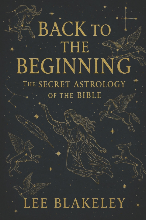 Kniha Back to the Beginning Lee Blakeley