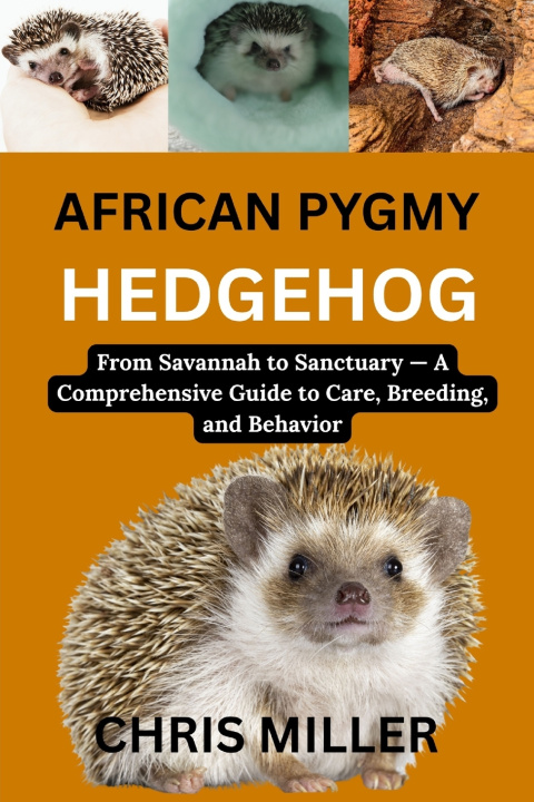 Kniha AFRICAN PYGMY HEDGEHOG STELLA KING