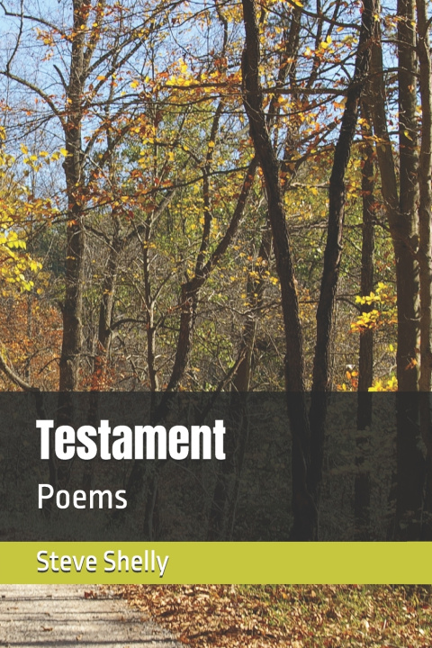 Knjiga Testament Steve Shelly